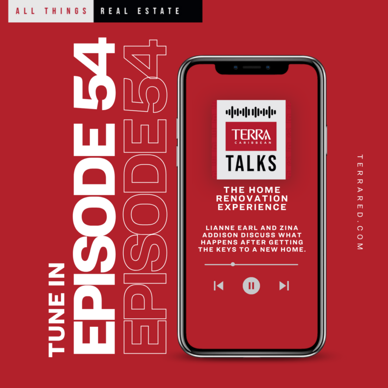 Terra Talks | Ep 54 : The Home Renovation Experience with Lianne & Zina